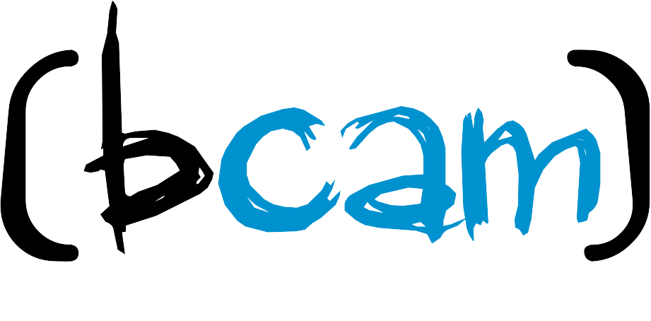 logo_bcam_transp[1]